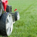 Kada prvi put pokositi travnjak nakon sadnje